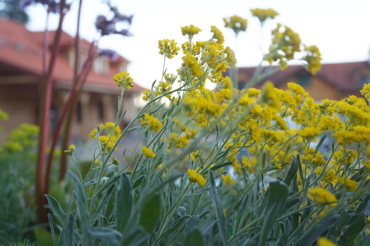 Warminskie Uroczysko Villa Raszag ภายนอก รูปภาพ