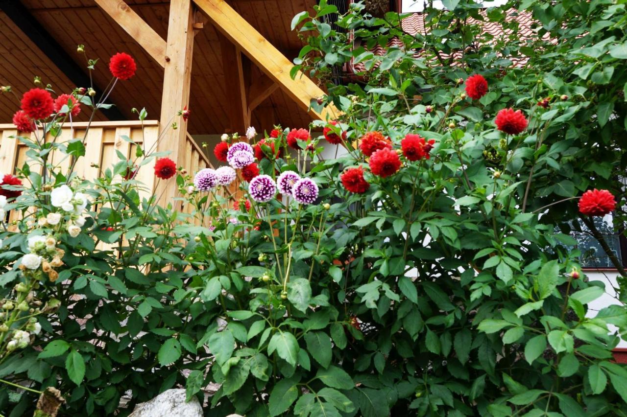Warminskie Uroczysko Villa Raszag ภายนอก รูปภาพ